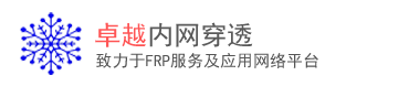 卓越内网穿透